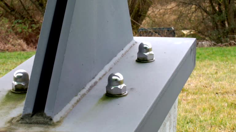 Best Environmental Consulting for Mold Prevention  in Carroll, IA